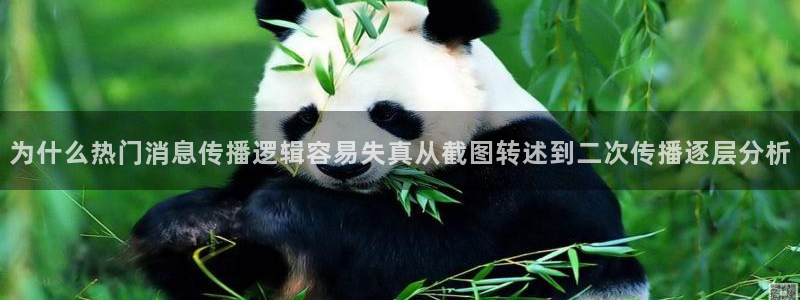 吃瓜不打烊