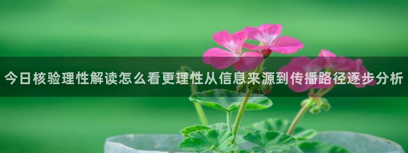 暗黑吃瓜
