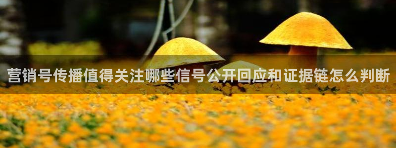 五一吃瓜：营销号传播值得关注哪些信号公开回应和证据链怎么判断