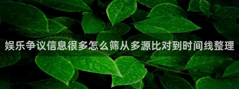 黑料在线吃瓜:娱乐争议信息很多怎么筛从多源比对到时间线整理