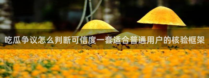 51吃瓜app下载:吃瓜争议怎么判断可信度一套适合普通用户的核验框架